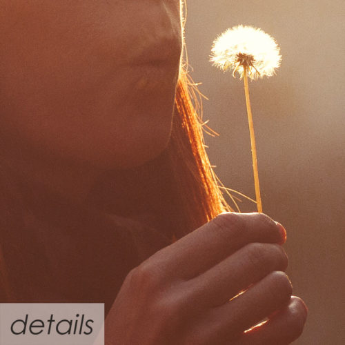 Two Young Women Taking And Blowing A Dandelion Flower Warm Lighting And Intense Sunset Details