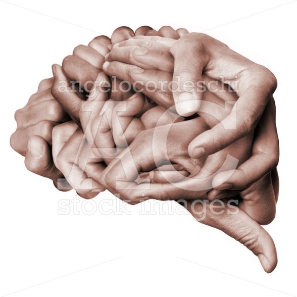 A Human Brain Made With Hands, Different Hands Are Wrapped Toget Angelo Cordeschi