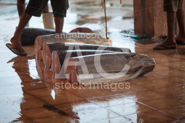 Fish On The Ground In Open Market. Negombo, Sri Lanka. Angelo Cordeschi