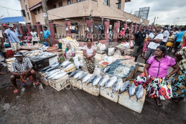 Fish Street Market Of Negombo In Sri Lanka. Angelo Cordeschi