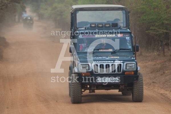 Jeep with tourists on the dirt road in the Minneriya natural par - Angelo Cordeschi