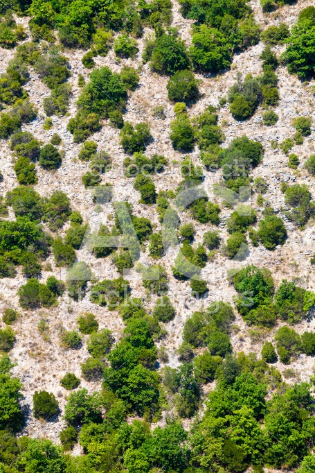 Mountain Vegetation. Aerial View From Afar. Assisi, Italy. Angelo Cordeschi