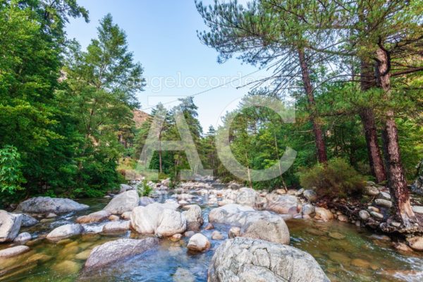 River With Pebbles, Mountains And Picturesque Forest In Corsica Angelo Cordeschi