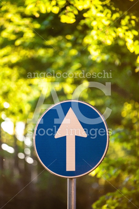 Road Direction Sign With Up Arrow. Arrow Up. Blue Sign With Whit Angelo Cordeschi