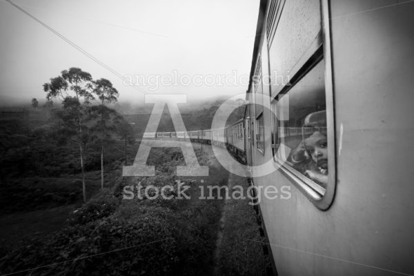 Train window in the tea plantation scenary in Sri Lanka. Little - Angelo Cordeschi