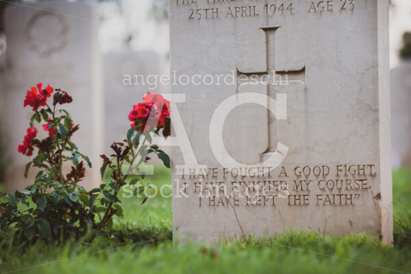 War Memorial Tombstone With Epitaph. Commonwealth Cemetery Of Ca Angelo Cordeschi